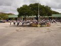 DSC05049