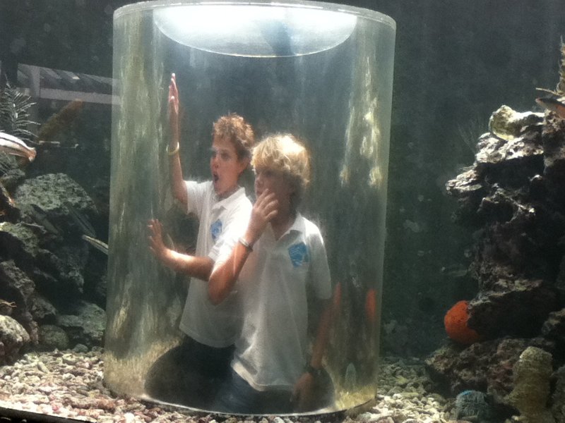 22Mar13PW_i_VJMC8_Seaquarium-065.jpg