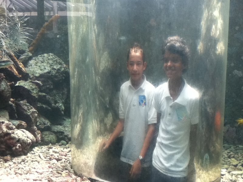 22Mar13PW_i_VJMC8_Seaquarium-079.jpg