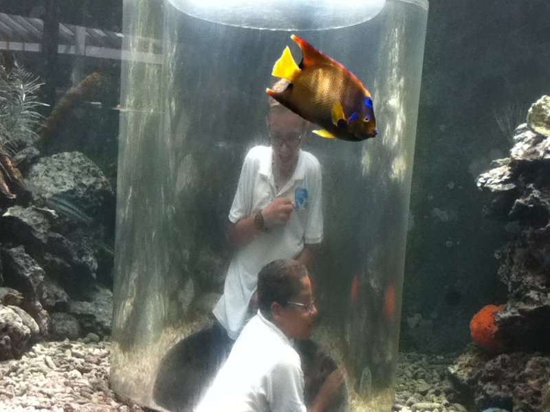 22Mar13PW_i_VJMC8_Seaquarium-083.jpg