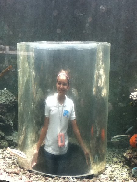 22Mar13PW_i_VJMC8_Seaquarium-088.jpg