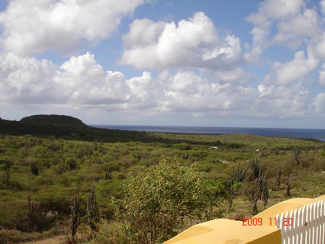 DSC05522.JPG