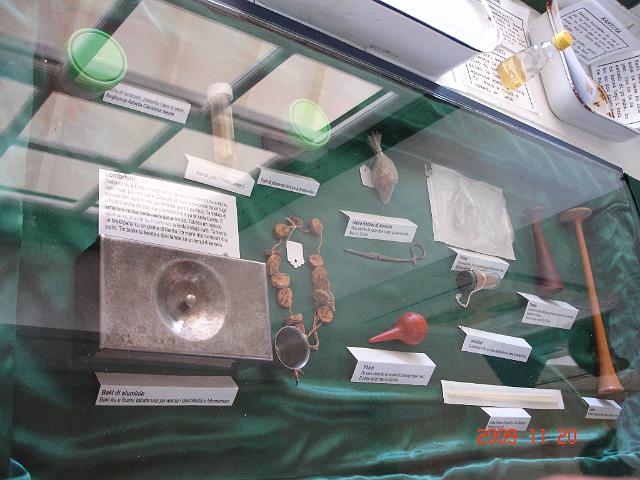 DSC05539.JPG