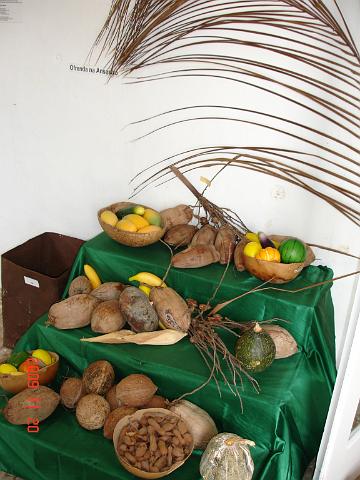 DSC05553.JPG
