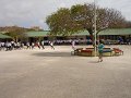 DSC02711