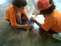 IMG04732-20130426-1109