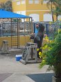 DSC01249