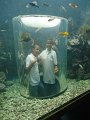 DSC01270