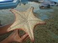 DSC01289