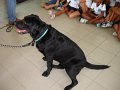 DSC00700