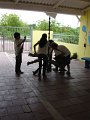 DSC03797
