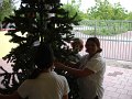 DSC03811