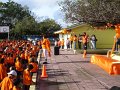 DSC08452