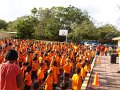 DSC08455