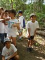 DSC02537