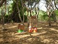 DSC02562