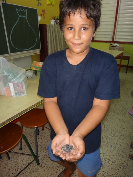 DSC06310.JPG