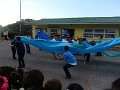 DSC02102g