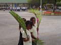DSC04535